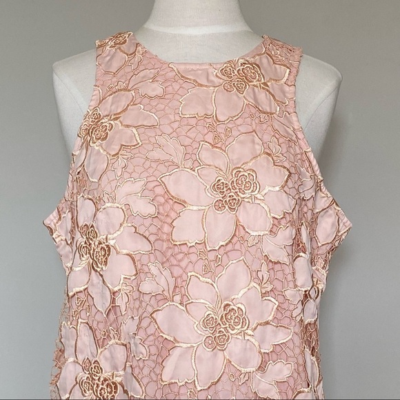 Lovers + Friends Dress Caspian Blush Lace Shift Dress, L - Picture 3 of 13